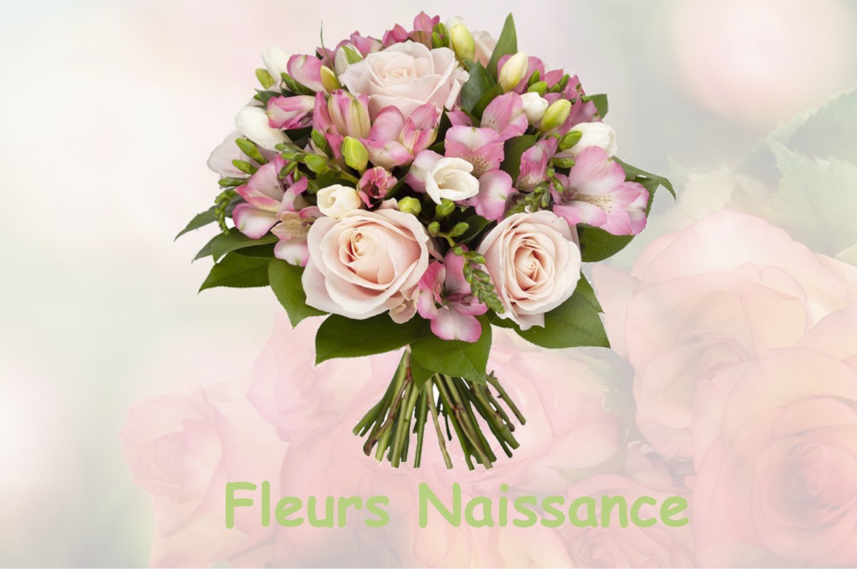 fleurs naissance DIZIMIEU