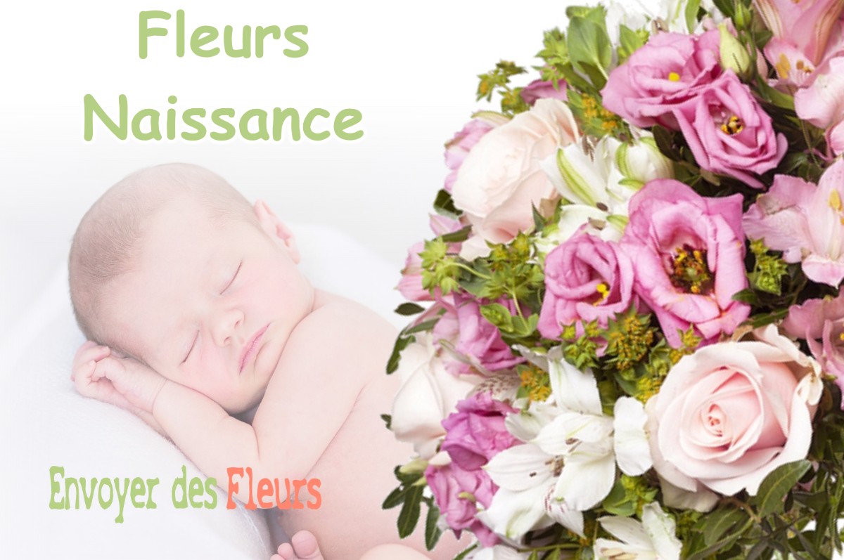 lIVRAISON FLEURS NAISSANCE à DIZIMIEU